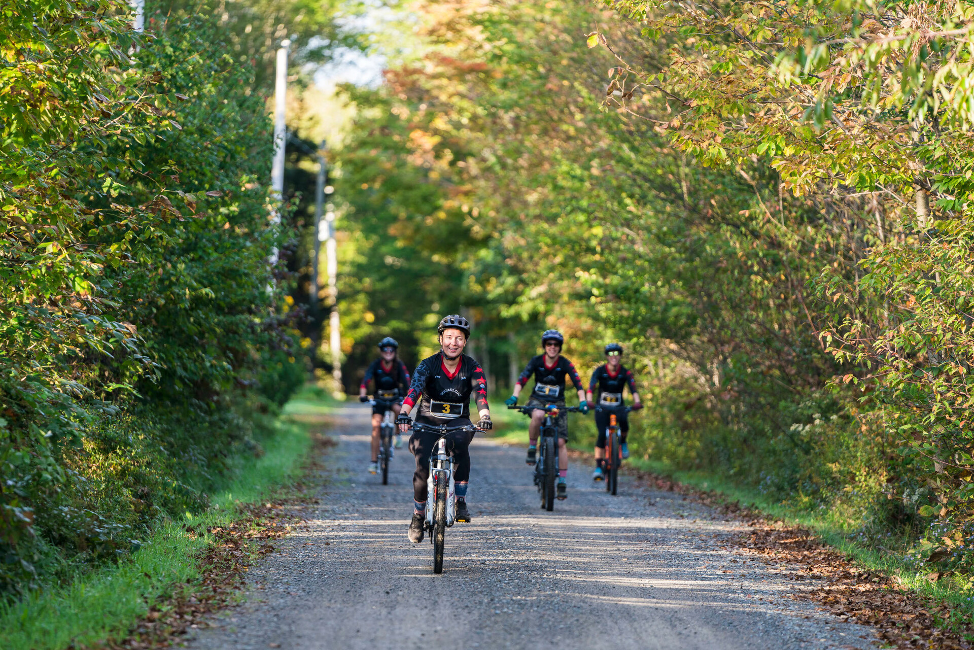 Four cyclists riding mountain bikes on a gravel trail through the woods.